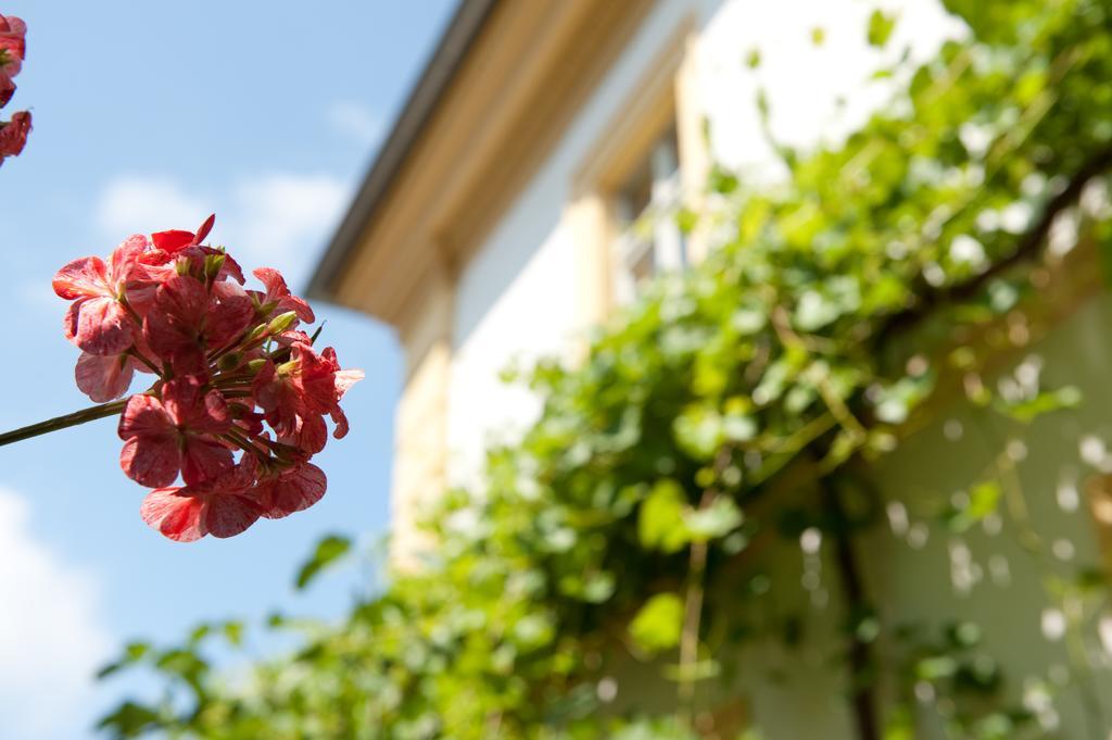 Gasthaus Zur Sonne Nordheim am Main Ngoại thất bức ảnh